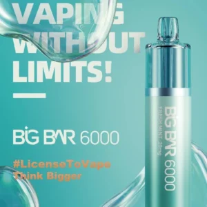 Feoba Big Bar 6000 Disposable Vape – Feoba 6k Puffs Disposable Vape Pod Kit